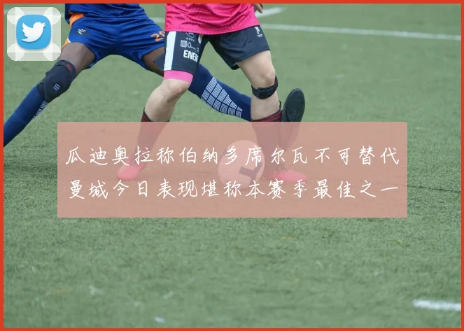 瓜迪奥拉称伯纳多席尔瓦不可替代曼城今日表现堪称本赛季最佳之一