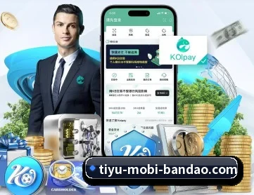 半岛体育 APP 深度功能